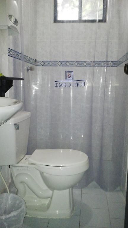 Hotel Crisor